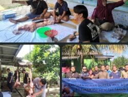 Tiga Tahun Terima Bantuan Kurban PT Timah, SMSI Babel Bagikan Daging ke Anggota dan Warga
