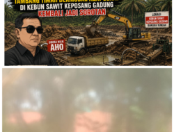 Diduga Milik Aho, Tambang Timah Bermodal Alat Berat di Kebun Sawit Keposang Gadung Kembali Jadi Sorotan
