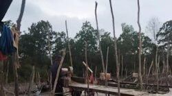 Aktivitas Tambang Timah Ilegal Jenis Sebu- Sebu Didekat Rumah warga Kampung Jeruk Jadi sorotan publik.
