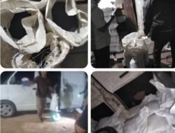 Satgas Tricakti Amankan 1,5 Ton Timah di Gudang Roni, Sopir Sebut dari Gudang Miloy