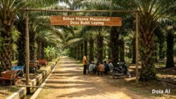 Kekhawatiran Ketidakadilan Penetapan Penerima Plasma PT GML, Warga Bukit Layang Minta Verifikasi Ulang