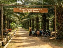 Kekhawatiran Ketidakadilan Penetapan Penerima Plasma PT GML, Warga Bukit Layang Minta Verifikasi Ulang