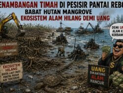 Penambangan Timah Dipesisir Pantai Rebok Babat Hutan Magrove, Ekosistem Alam Hilang Demi Uang